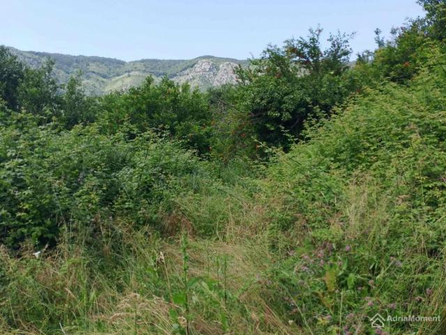 Prodajem ekskluzivan plac u Kotoru, iznad tržnog centra Kamelia