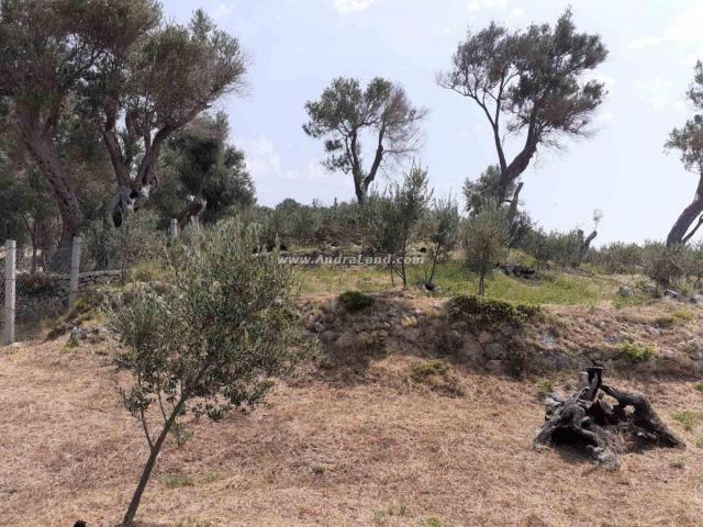 LAND FOR SALE, VALDANOS