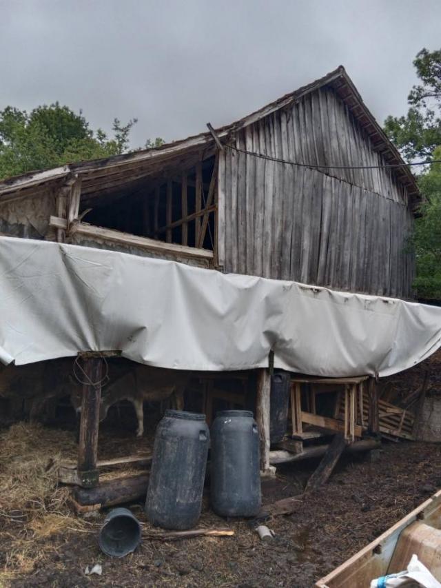 Krivi Vir-Rtanj, mesto koje ne treba zaobici na putu do Rtnja Domacinstvo+ 17ha zemljista