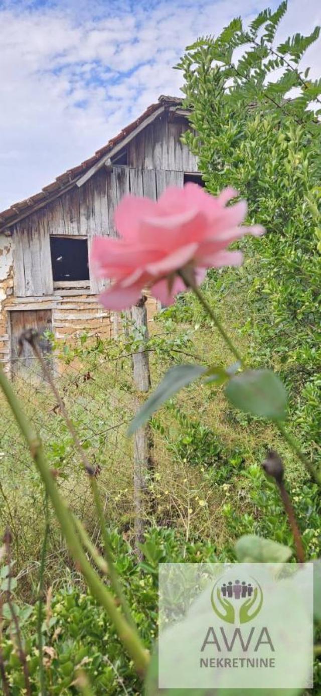 Seoska kuca-Selo Bogovina Boljevac