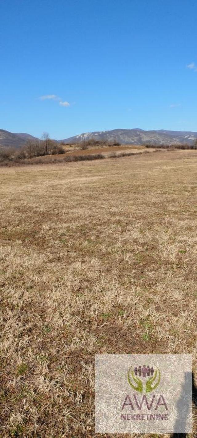 Boljevac, Podgorac, polj. zemlj. 196. 5ar