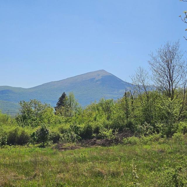 Boljevac-garsonjera 19m2, I  jednosoban stan 36m2 - Građevinsko zemljište  38 ari 45 m2- standardna 