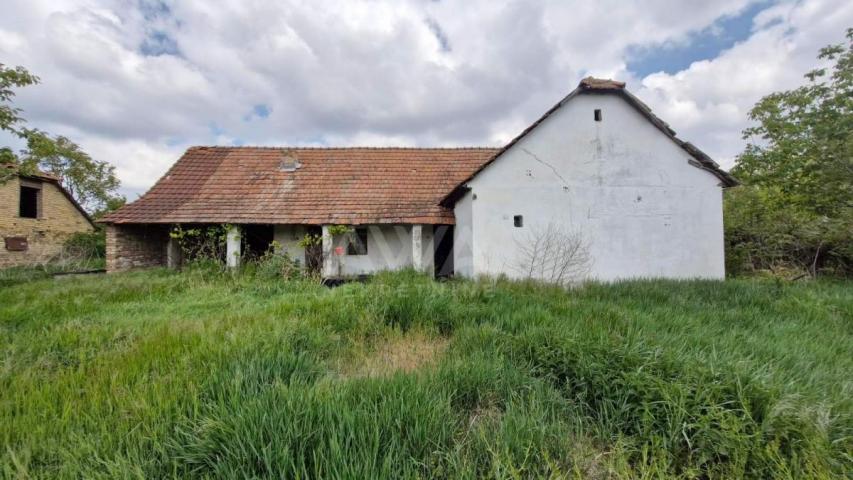 Voćnjak Šaponje, 13235 m2