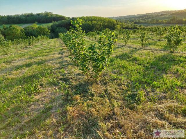 Barajevo, Vranić, Poteš, 334ara