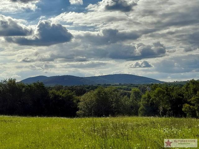 Odlična investicija za vikend naselje, Mladenovac, Mala Vrbica