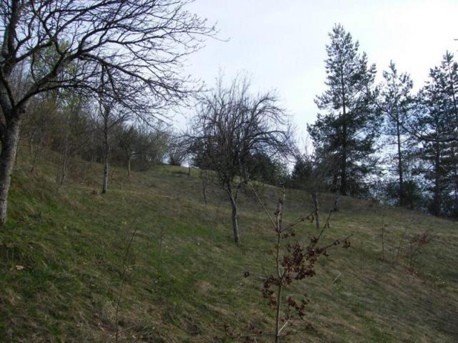 Urbanized plot for sale in Crkvine, Kolasin