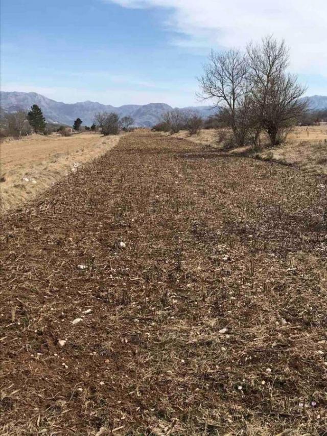 Huge plot of land 21800 m2 for sale, Grahovo, Nikšić