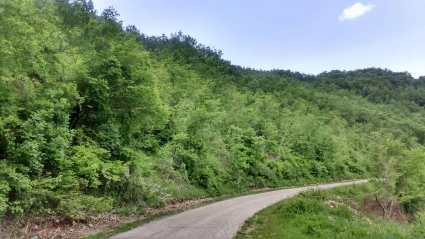 Huge plot of land 21800 m2 for sale, Grahovo, Nikšić