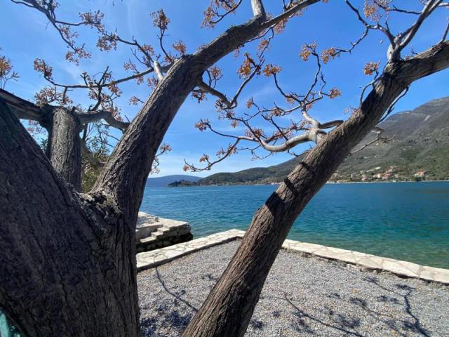 Seaside House in Tivat