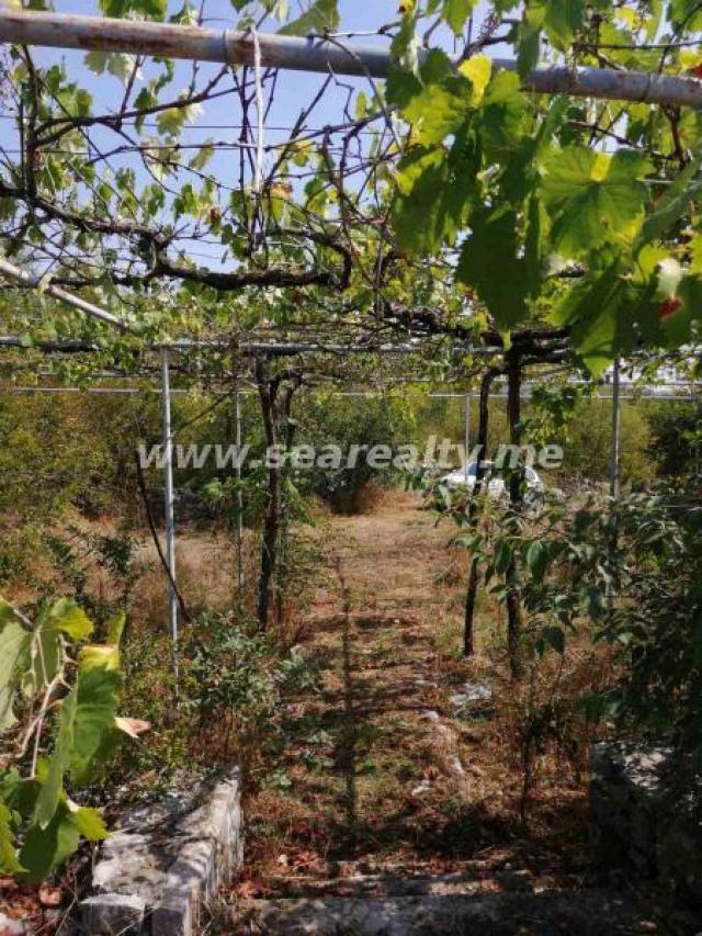 Land for sale in Podgorica