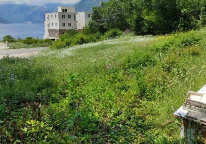 Urbanized land in Kotor