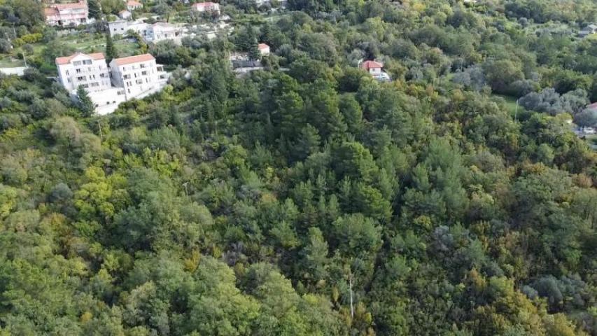 Urbanized plot in Kotor for sale