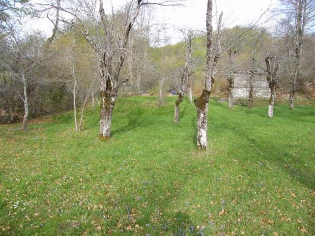 Urbanized plot for sale in Crkvine, Kolasin