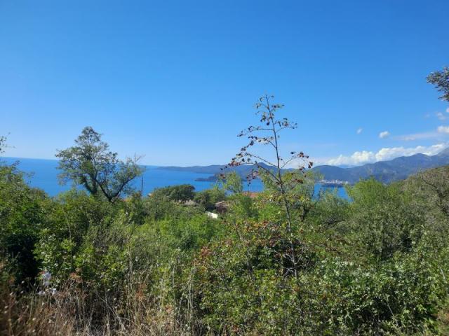 A plot with a sea view in Blizikuce, Budva is for sale