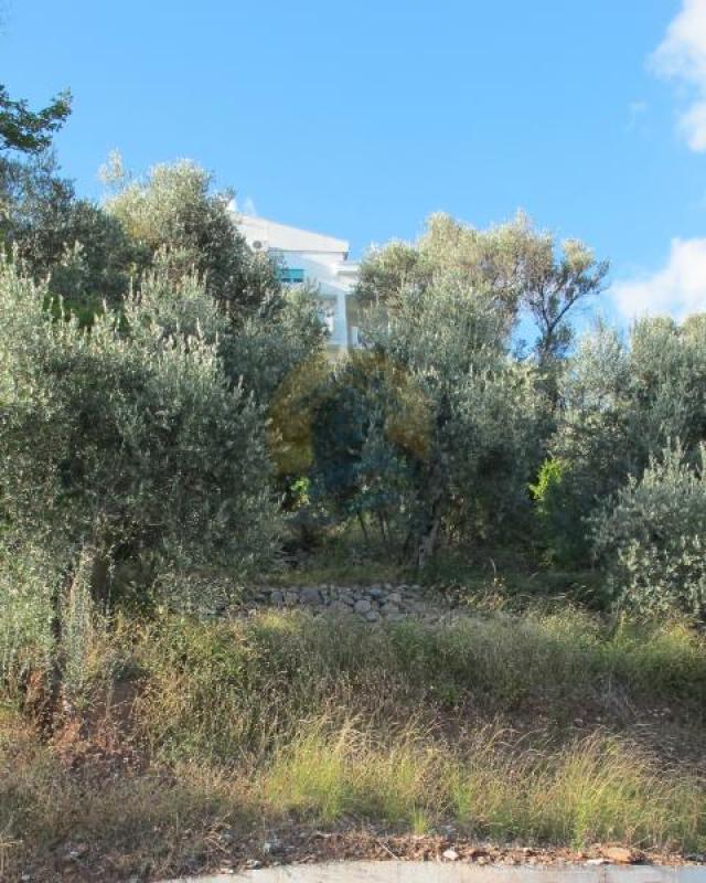 Beautiful urbanized plot with sea views and for sale in Petrovac, Budva - Montenegro. 