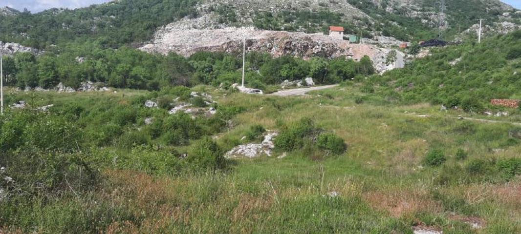 Land for sale in Cetinje 30. 000m2