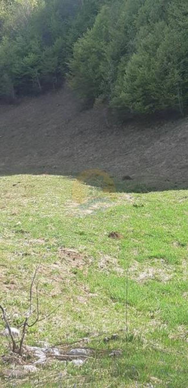 Land for sale in Kolasin