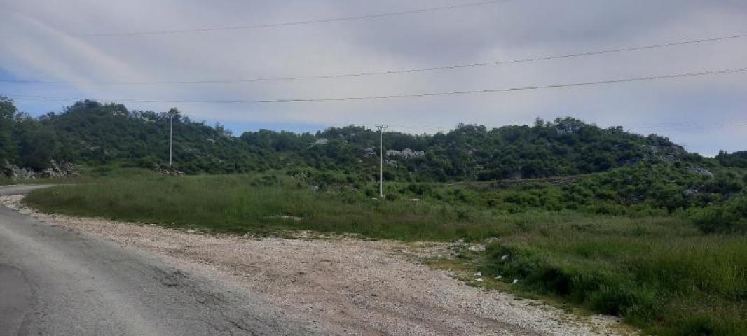 Land for sale in Cetinje 30. 000m2