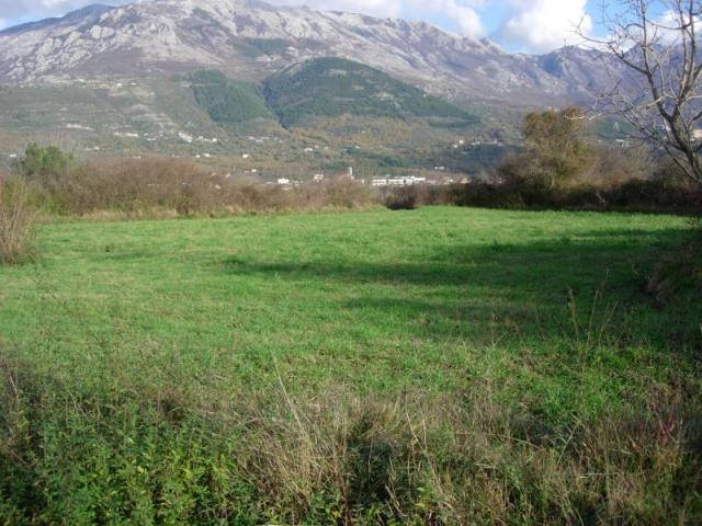 Land for sale, Kotor, Ljesevici