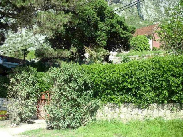 A house in a perfect location in Kotor is for sale