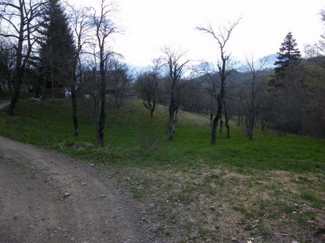 Urbanized plot for sale in Crkvine, Kolasin