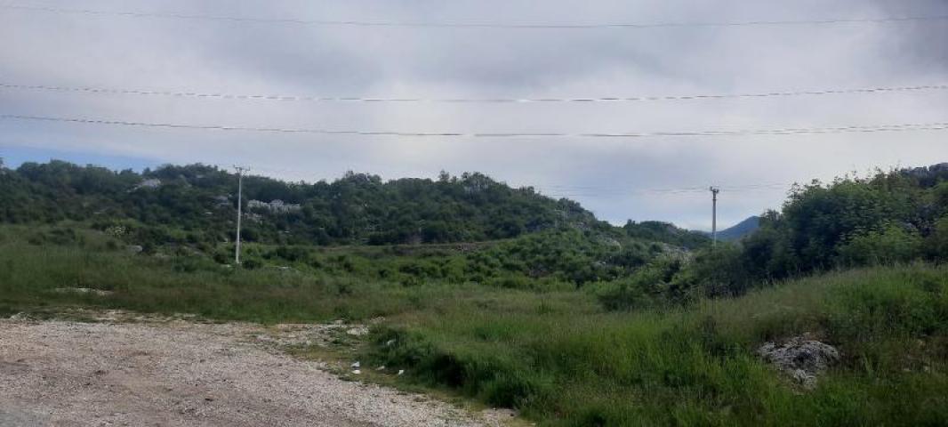 Land for sale in Cetinje 30. 000m2