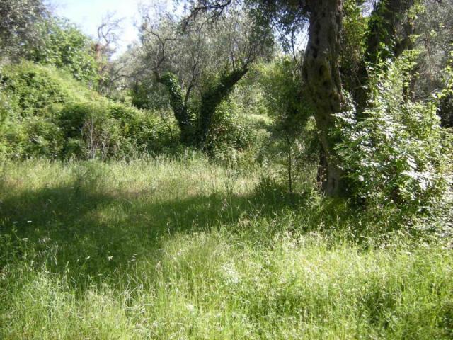 Urbanized land for sale, 560 m2, Budva