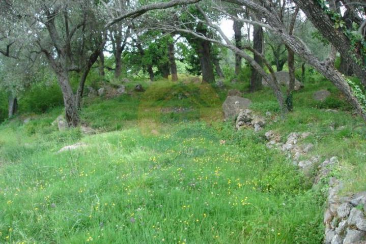 Urbanized plot in Kavac, Kotor