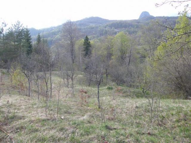 Urbanized plot for sale in Crkvine, Kolasin