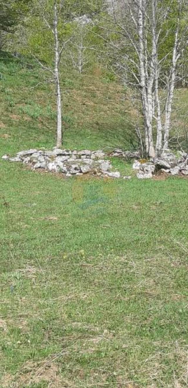 Land for sale in Kolasin