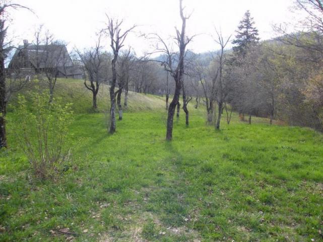 Urbanized plot for sale in Crkvine, Kolasin