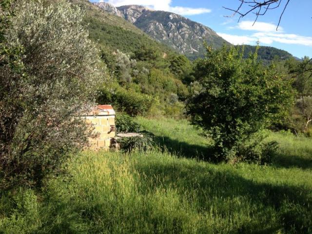 Two plots for sale in the village of Kavac, near Kotor, urbanized