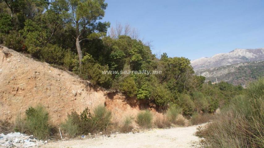 Land for sale 8900m2, Budva