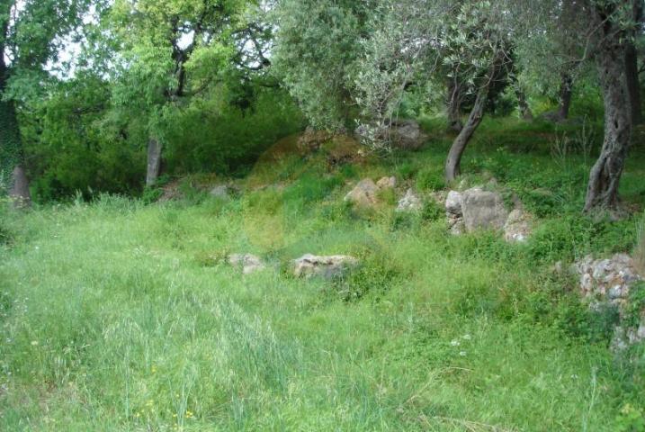 Urbanized plot in Kavac, Kotor