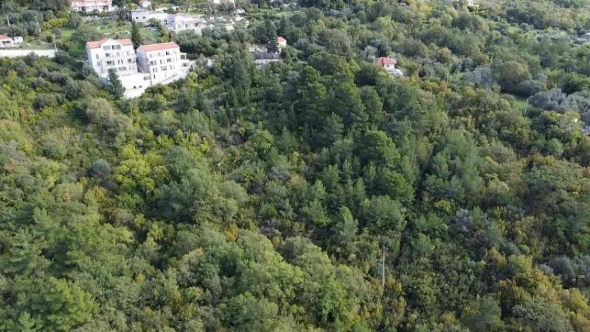 Urbanized plot in Kotor for sale