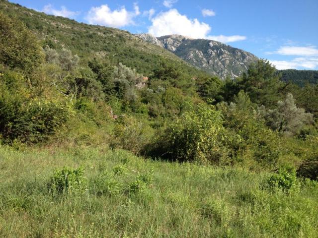 Two plots for sale in the village of Kavac, near Kotor, urbanized