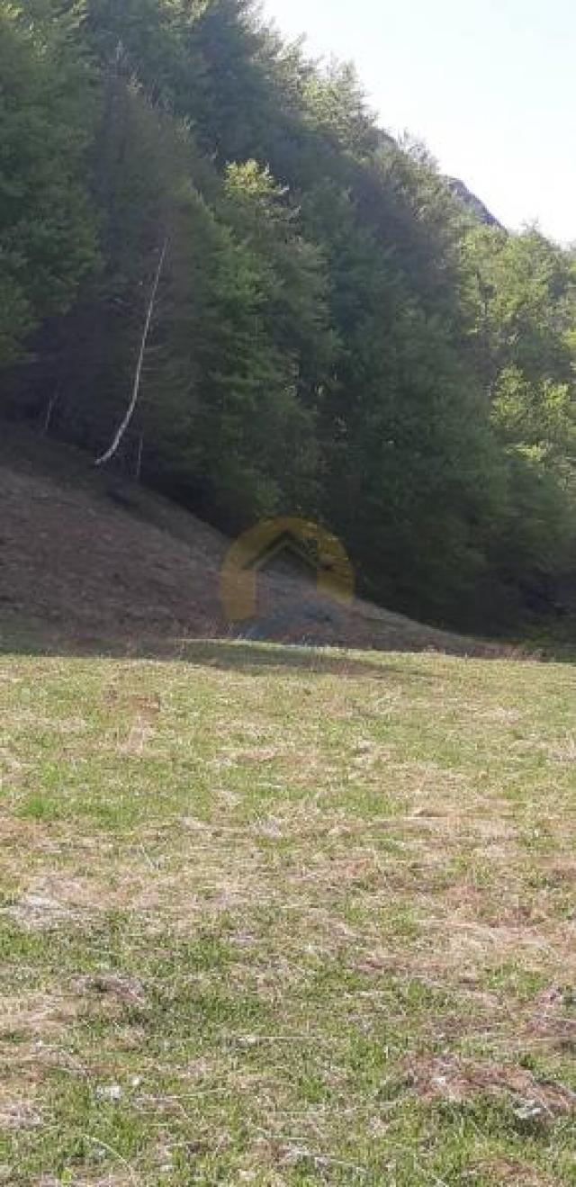 Land for sale in Kolasin