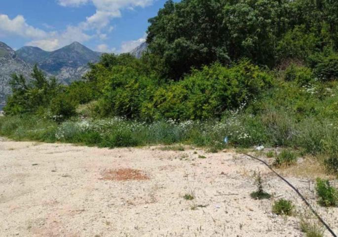 Urbanized land in Kotor