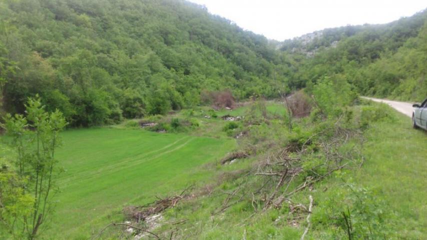 Huge plot of land 21800 m2 for sale, Grahovo, Nikšić