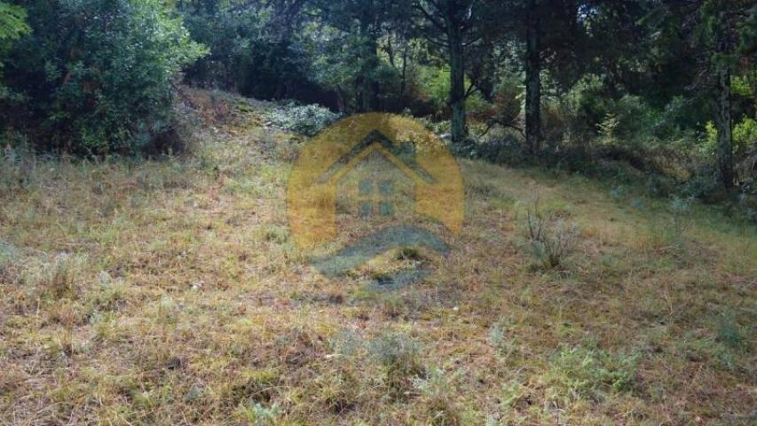 Investment plot with a beautiful sea view in a peaceful village of Dobrota, near Kotor Old Town and 