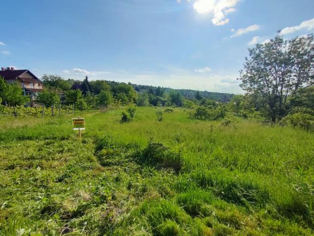 Građevinski plac 4952m Ledinci -Torine za gradnju vikendice