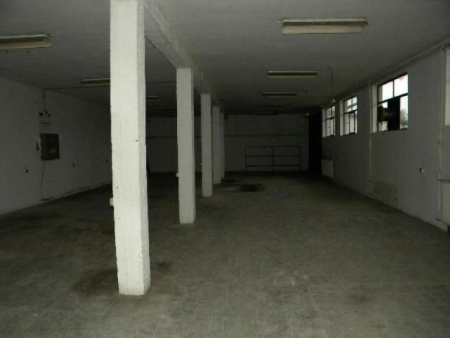 Izdavanje, Magacin, 3500m2 , Mislođin