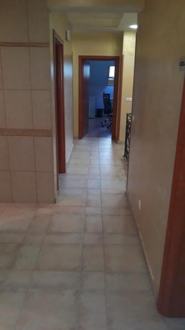 Izdavanje, Poslovni prostor, 150m2 , Vidikovac