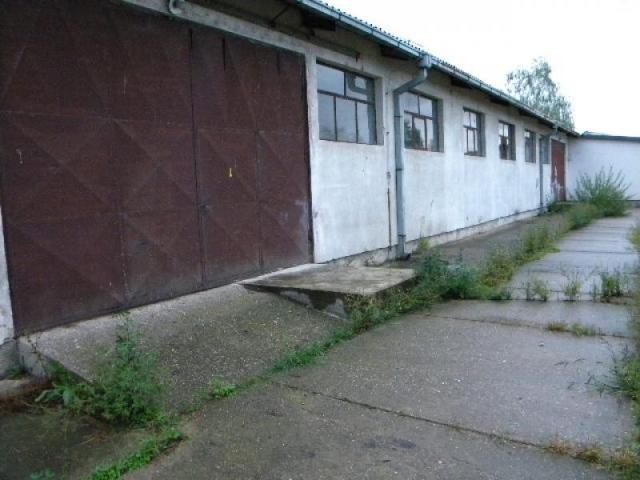 Izdavanje, Magacin, 3500m2 , Mislođin