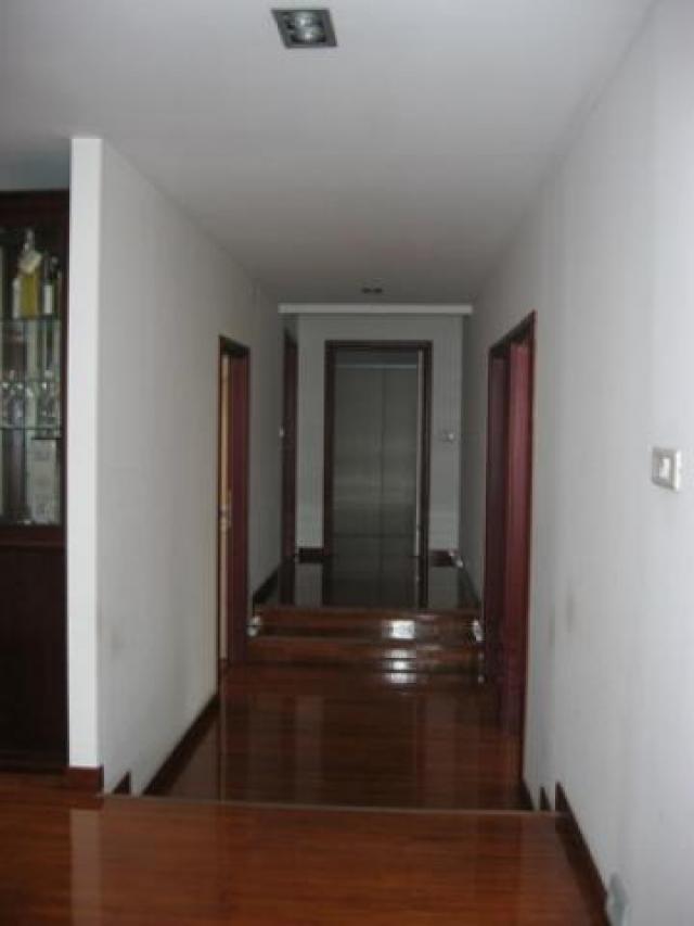 Izdavanje, Magacin, 1000m2 , Altina