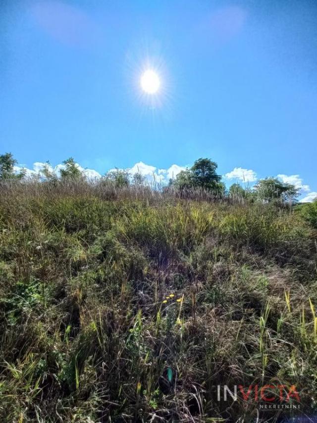 Fruška gora-parcela sa pogledom na grad