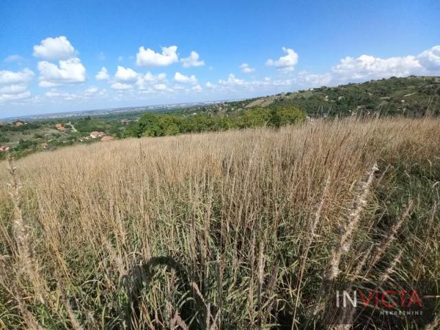 Fruška gora-parcela sa pogledom na grad