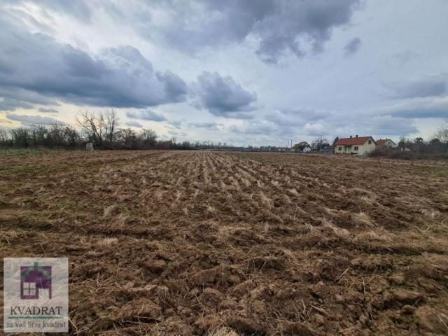 Seosko imanje sa objektima 290 m², 96 ari, Obrenovac, Zvečka – 200 000 €