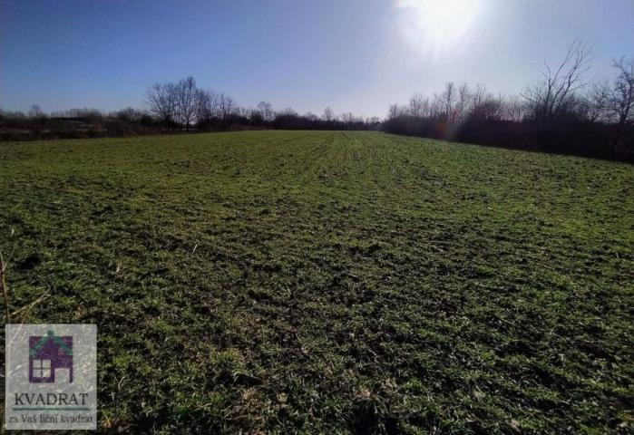 Građevinsko zemljište 1, 30 ha, Obrenovac, Piroman – 27 000 €