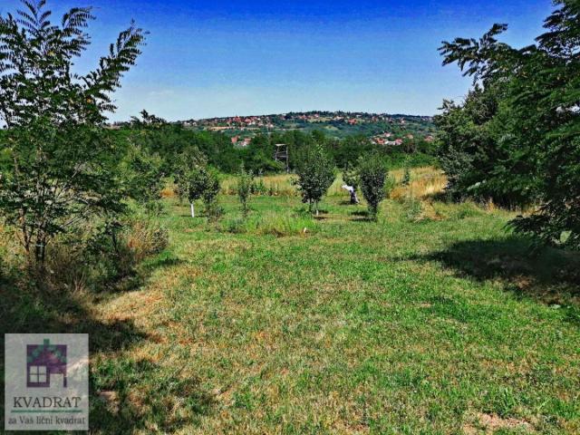 Građevinski plac 33 ara, Obrenovac, Barič– 16 500 €